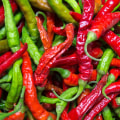 The Healing Powers of Cayenne Pepper